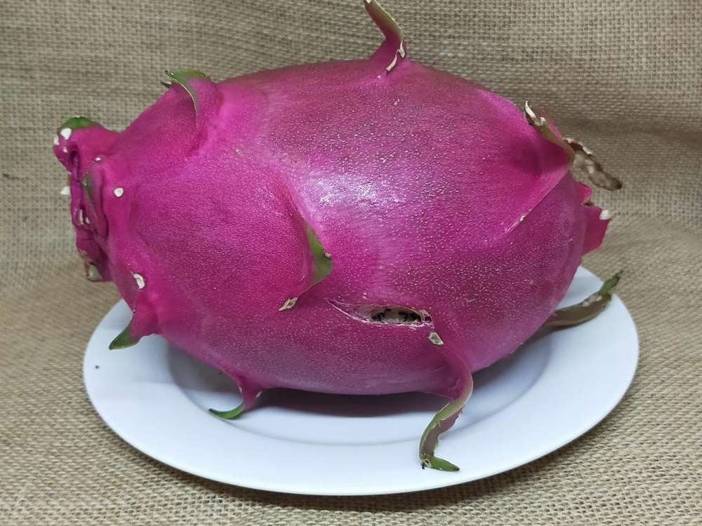 Vietnam White Dragon Fruit Whole